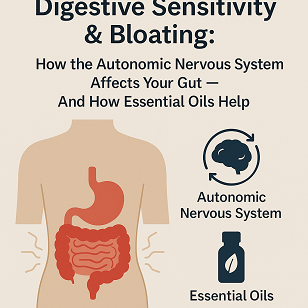 Digestive Sensitivity & Bloating: How the Autonomic Nervous System Affects Your Gut — And How Essential Oils Help