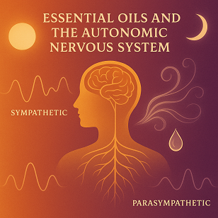Essential Oils and Their Effects on the Sympathetic & Parasympathetic Nervous Systems  — Helping Your Body Learn the Rhythm of Balance