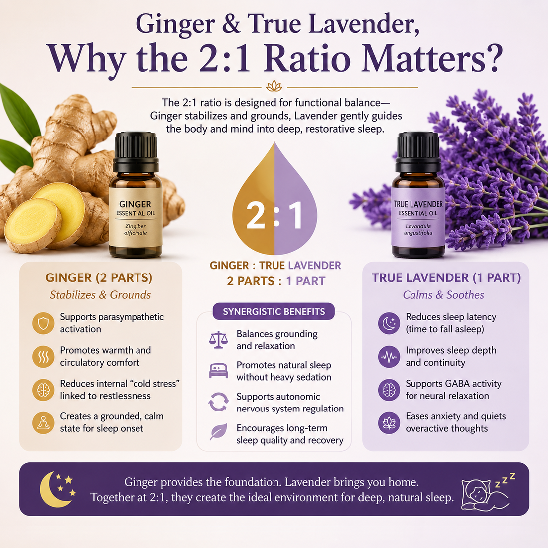 Ginger & True Lavender 2:1 — A Natural Path Toward Better Sleep