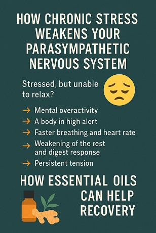 How Chronic Stress Weakens Your Parasympathetic Nervous System — And How Essential Oils Support Recovery