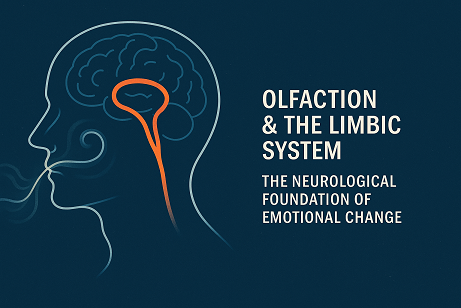 Olfaction & the Limbic System: The Neurological Foundation of Emotional Change  Olfactory Pathway × Limbic System × Emotional Regulation