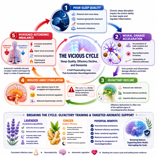 Sleep, Olfaction, and Neurodegeneration - Breaking the Vicious Cycle with Targeted Olfactory Input