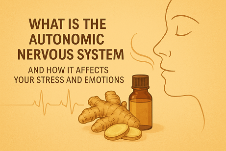 🌿 What Is the Autonomic Nervous System and How It Affects Your Stress and Emotions