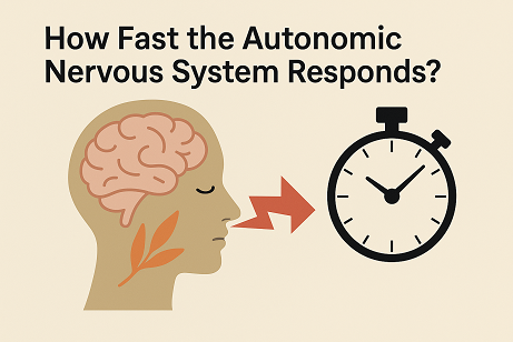 Essential Oil Absorption Methods × Speed Comparison: How Fast the Autonomic Nervous System Responds ?