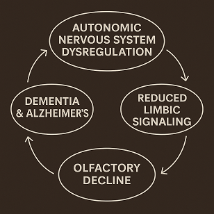 🧠 Autonomic Nervous System Dysregulation × Dementia × Alzheimer’s