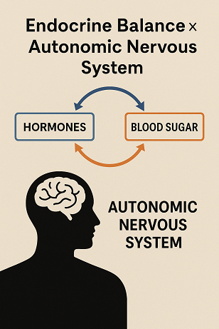 Endocrine Balance × Autonomic Nervous System - Hormones, Blood Sugar & Cortisol Explained