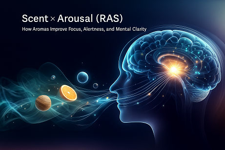 🌤 Scent × Arousal (RAS) - How Aromas Improve Focus, Alertness, and Mental Clarity?