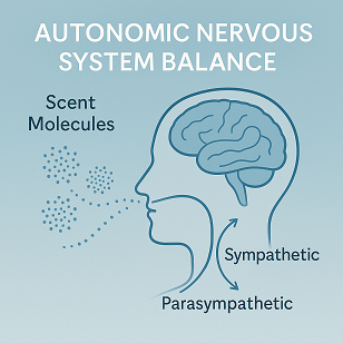 Autonomic Nervous System Balance × Micro-Dose Aromatherapy