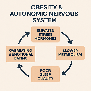 Obesity × Autonomic Nervous System Dysregulation: A Self-Reinforcing Cycle That Impacts Metabolism, Mood, and Cravings
