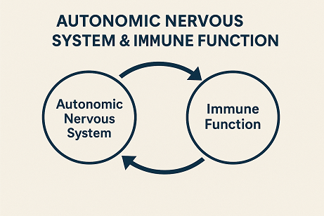 Autonomic Nervous System Dysregulation & Immune Function