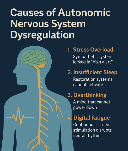Causes of Autonomic Nervous System Dysregulation - Stress × Insufficient Sleep × Overthinking × Digital Fatigue