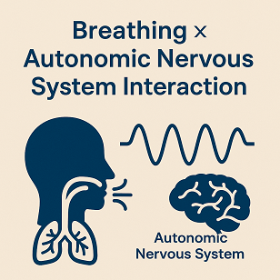 Breathing × Autonomic Nervous System Interaction - Your breathing depth directly shapes your heart rate, emotional stability, and anxiety levels.