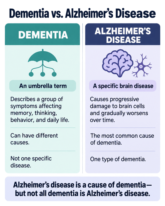 Olfactory Stimulation and Brain Health: What Role May Smell Play as Dementia and Alzheimer’s Disease Become More Common?