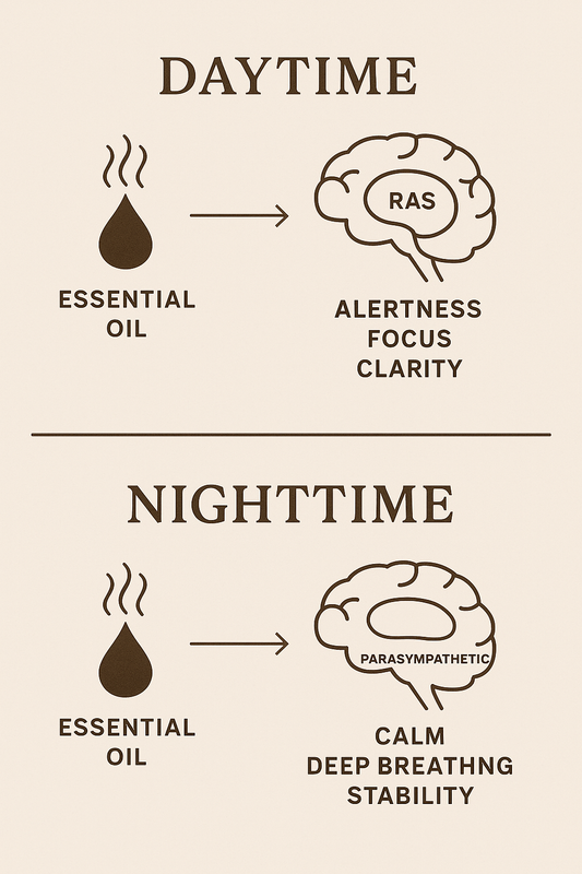 🌿 Essential Oils × Emotional Function Framework - Energizing • Calming • Balancing • Warming • Circulation