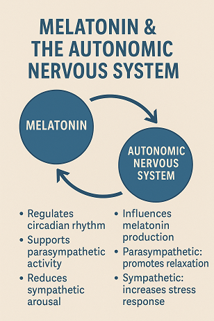 📌 Melatonin & The Autonomic Nervous System: How They Regulate Each Other ?