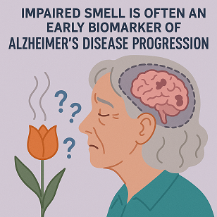 Olfactory Decline × Emotional Downshift × Cognitive Health The Deep Scientific Connection Behind Them